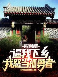 四合院：逼我下乡，我怒当孤勇者