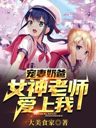 宠妻奶爸：女神老师爱上我