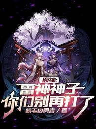 原神：雷神神子你们别再打了