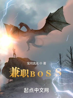 兼职BOSS宝月流光