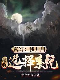 玄幻：我开启最强选择系统青衣无言