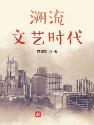 溯流文艺时代小说