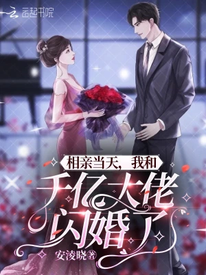 相亲当天，我和千亿大佬闪婚了安淩晓