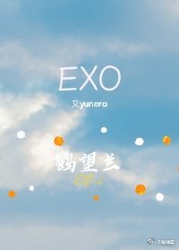 [EXO]鹤望兰又yunera