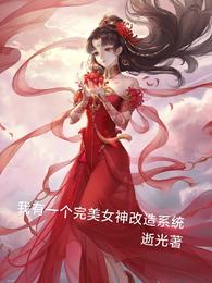 我有一个完美女神改造系统逝光