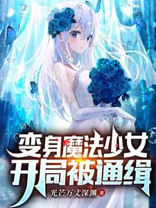 变身魔法少女开局被通缉凌云雨桐